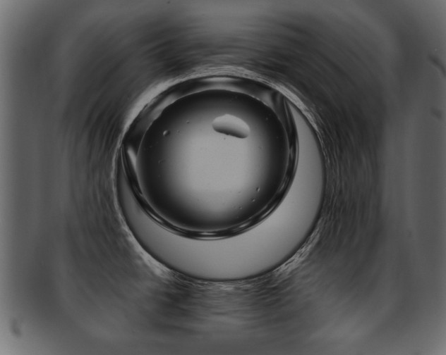 X0000093221438200709261623