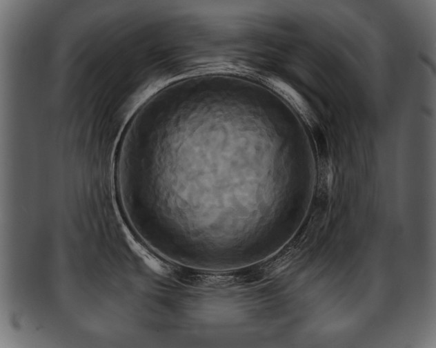 X0000093221439200709261623