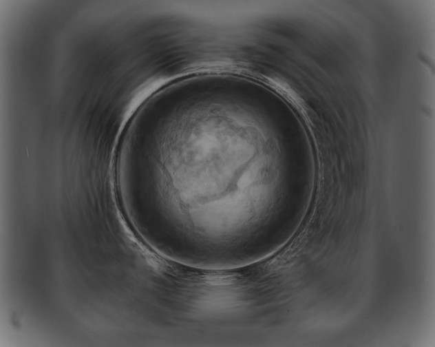 X0000093221440200709261623
