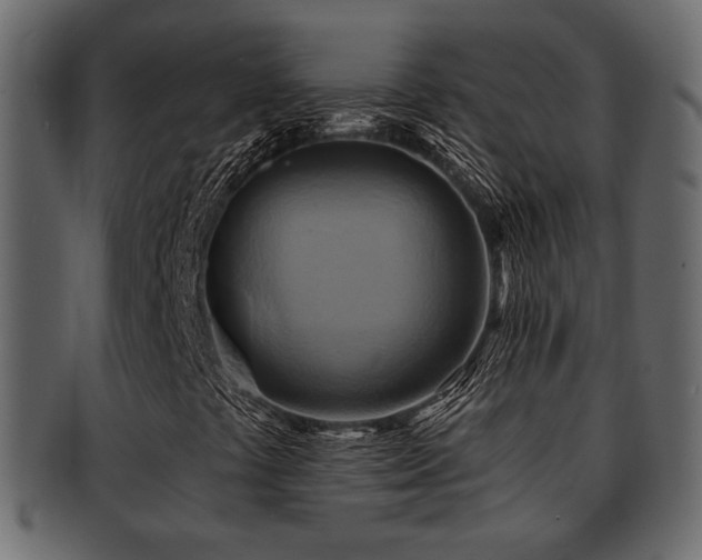 X0000093221441200709261622