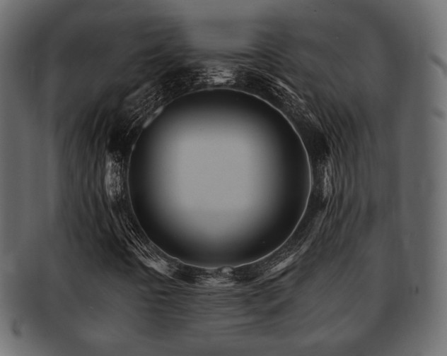 X0000093221442200709261622