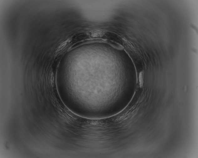 X0000093221443200709261622