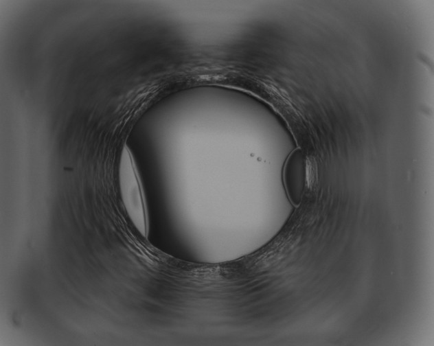 X0000093221444200709261622