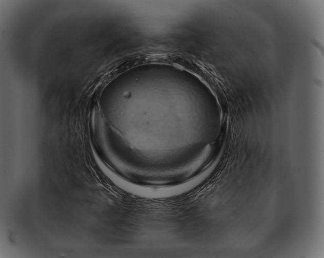X0000093221445200709261622