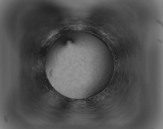 X0000093221446200709261622