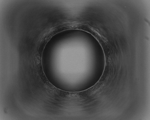 X0000093221447200709261622