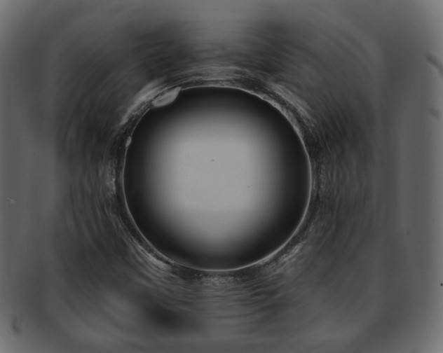 X0000093221451200709261622
