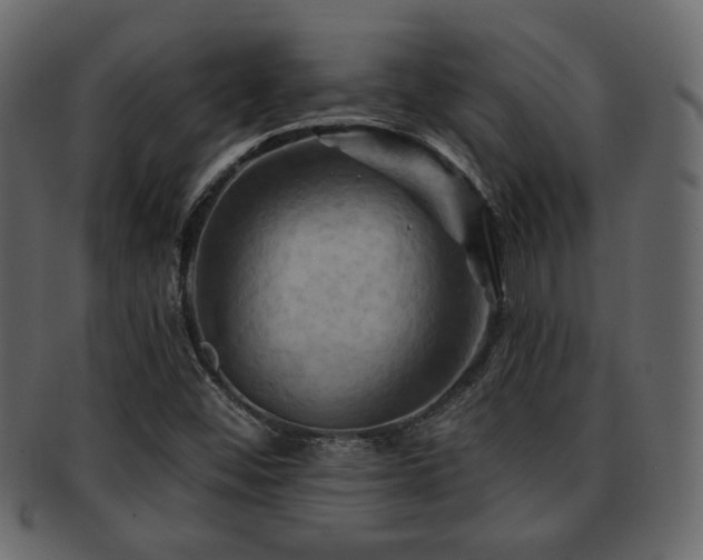 X0000093221452200709261622