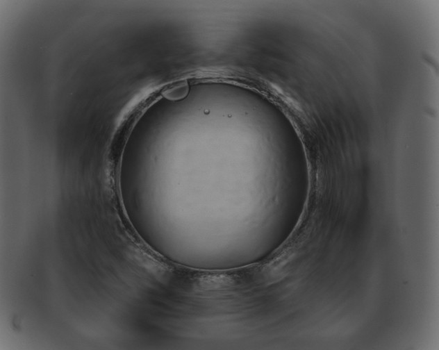 X0000093221454200709261622