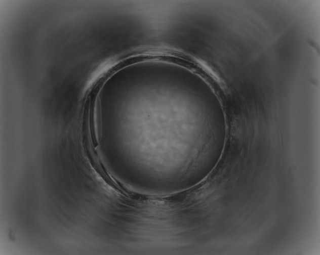 X0000093221456200709261622