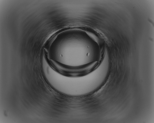 X0000093221457200709261622