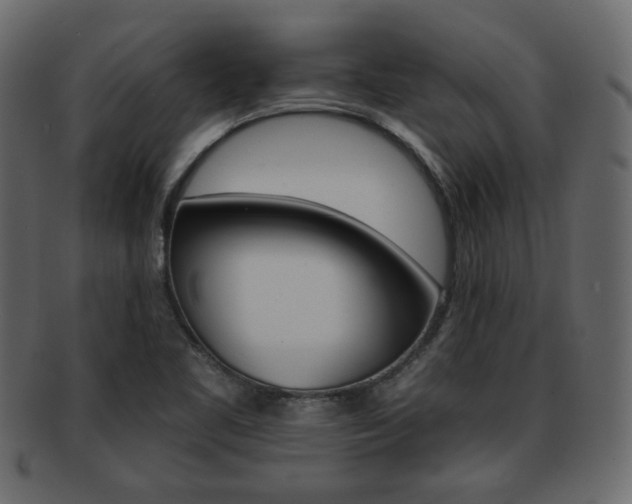 X0000093221461200709261622