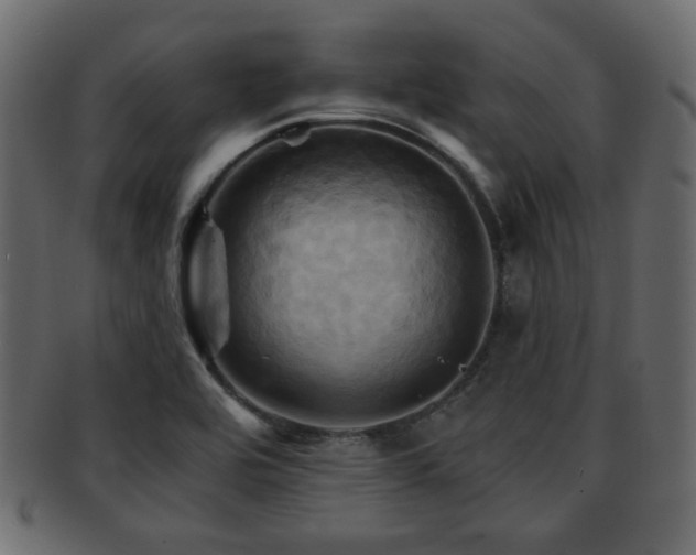 X0000093221464200709261622