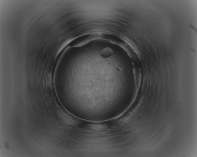 X0000093221465200709261622