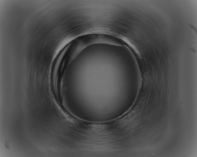X0000093221469200709261622
