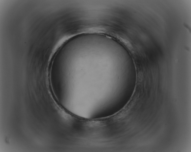 X0000093221470200709261622
