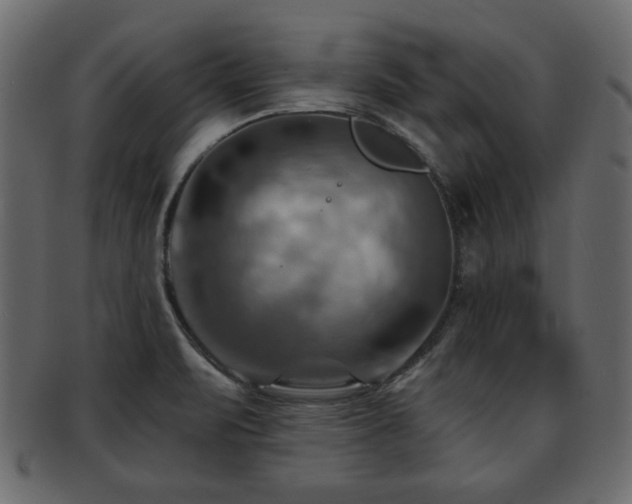X0000093221471200709261622