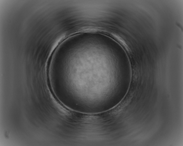 X0000093221475200709261622