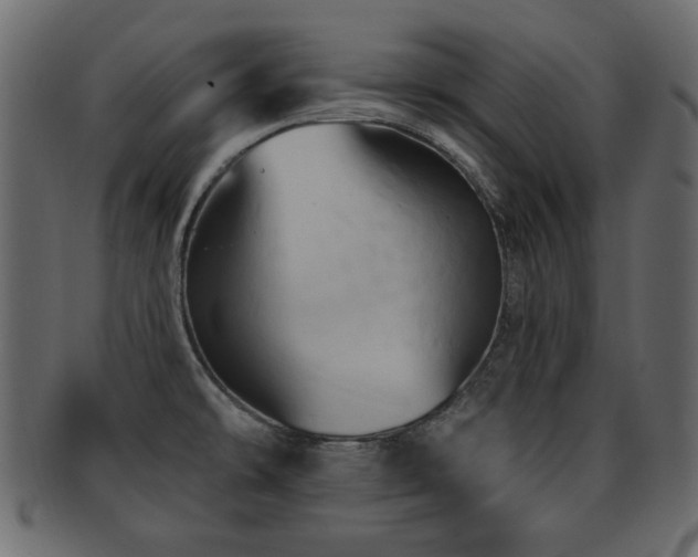 X0000093221478200709261622