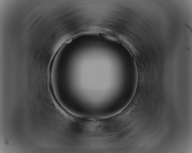 X0000093221479200709261622