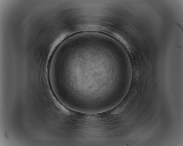 X0000093221480200709261622