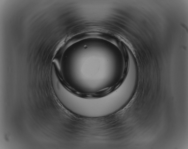 X0000093221481200709261622
