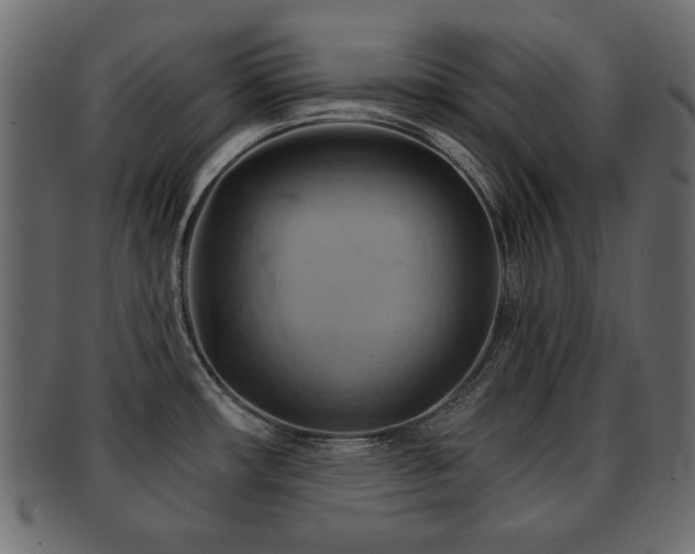 X0000093221482200709261622