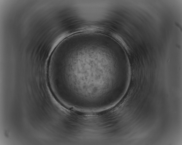 X0000093221483200709261622