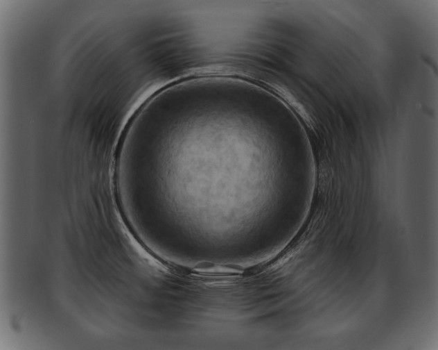 X0000093221484200709261622