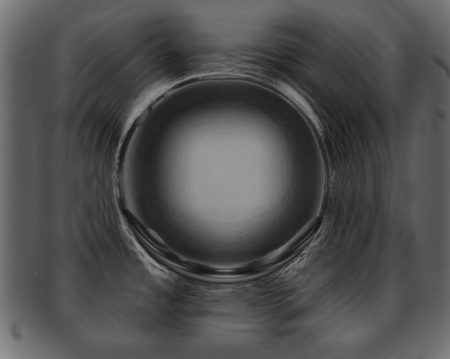X0000093221485200709261622