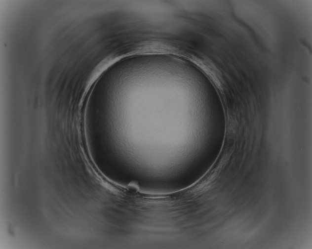 X0000093221486200709261622