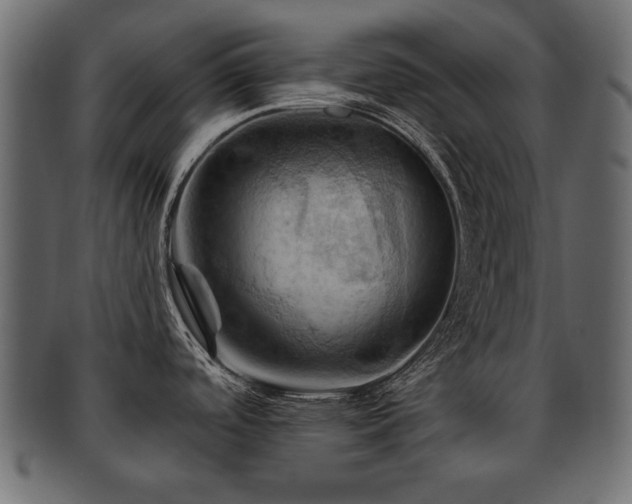 X0000093221488200709261622