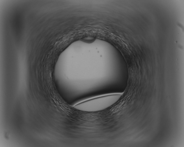 X0000093221489200709261621