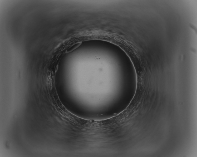 X0000093221493200709261621