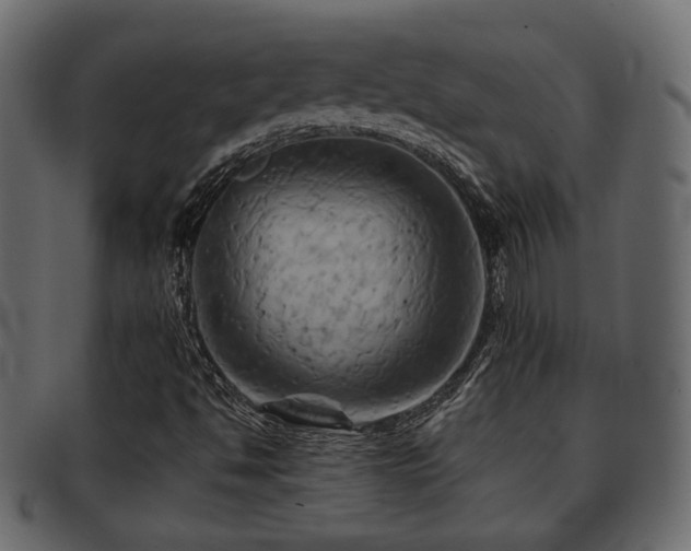 X0000093221494200709261621