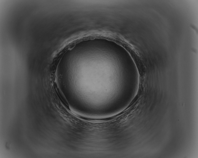 X0000093221496200709261621