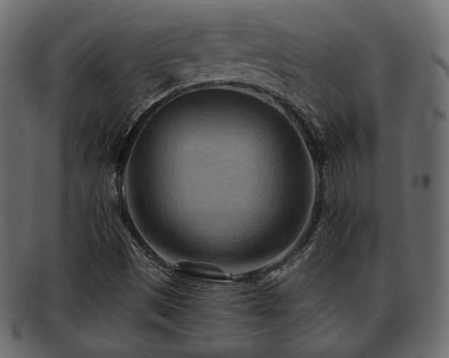 X0000093221497200709261621