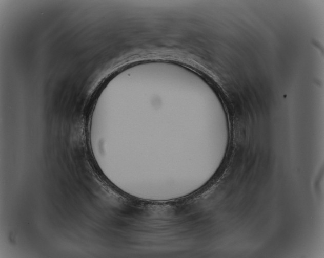 X0000093221498200709261621