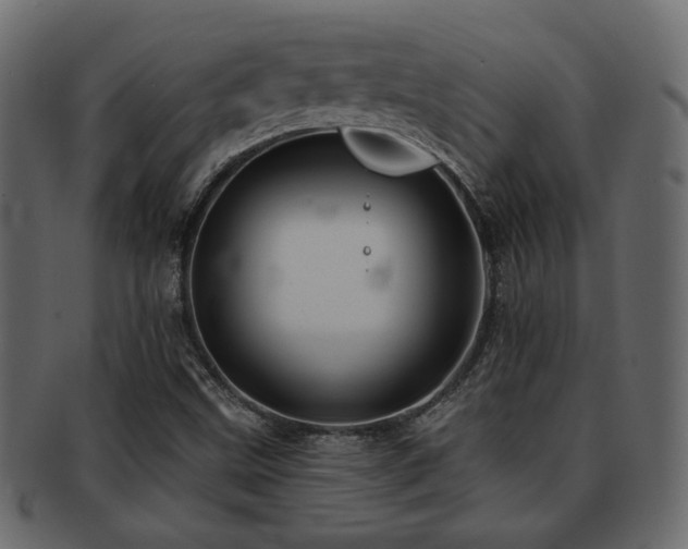 X0000093221499200709261621