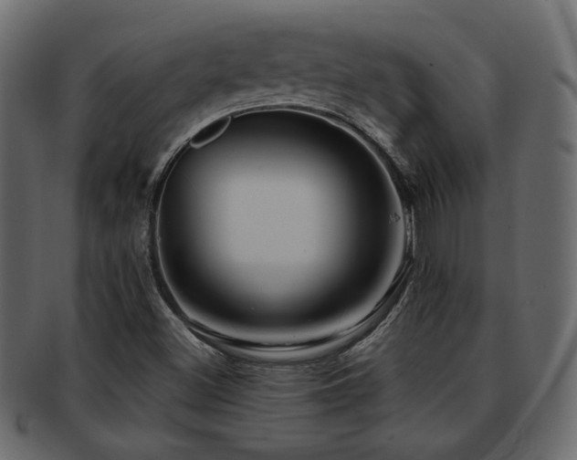 X0000093221500200709261621