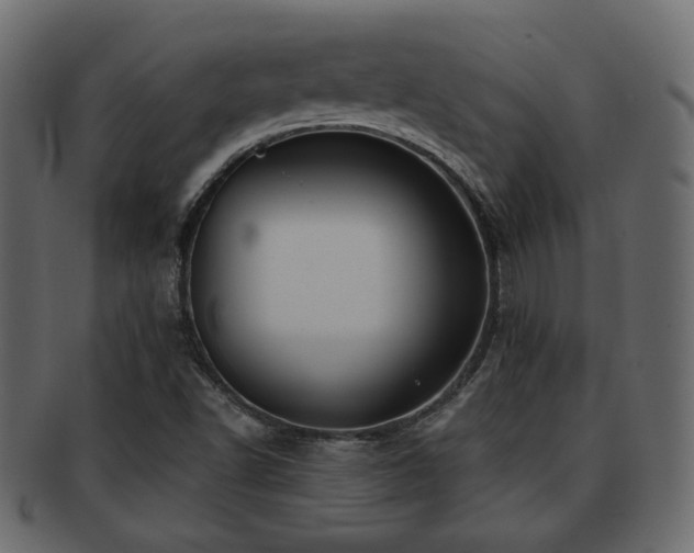 X0000093221502200709261621