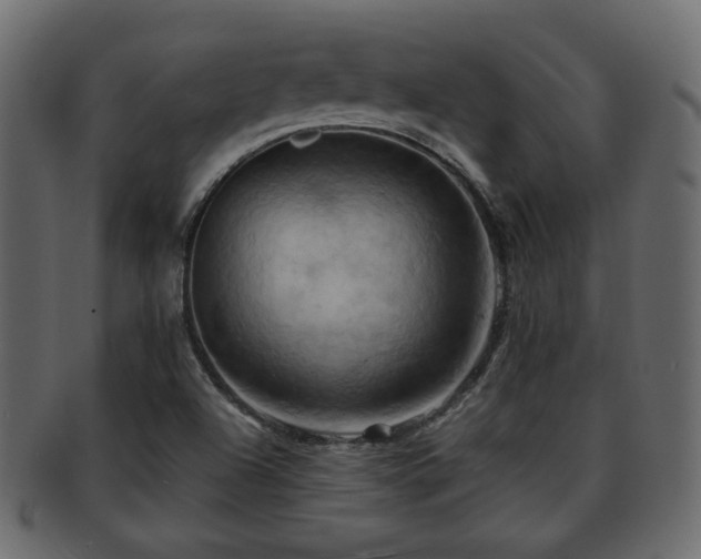 X0000093221504200709261621