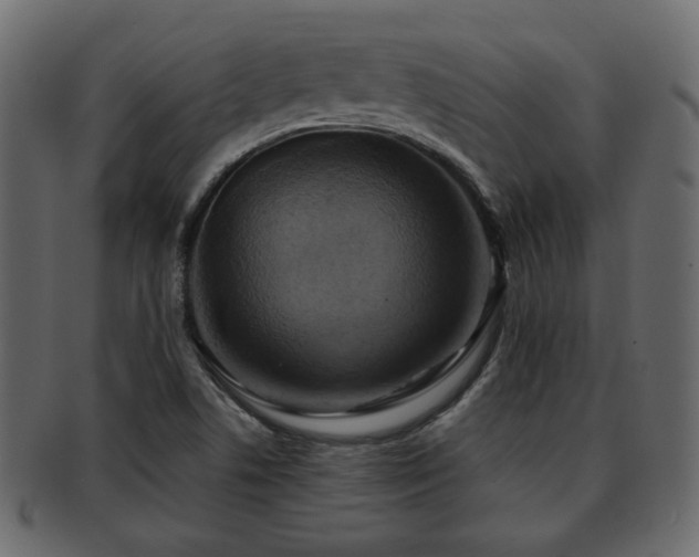 X0000093221506200709261621