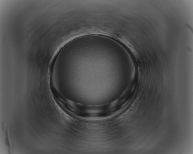 X0000093221508200709261621
