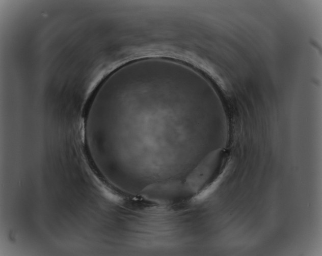 X0000093221509200709261621