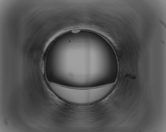 X0000093221510200709261621