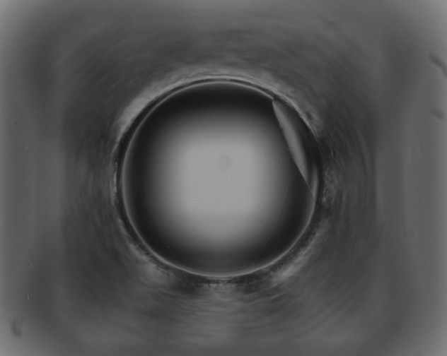 X0000093221511200709261621