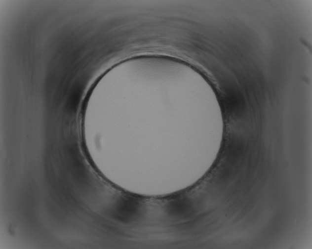 X0000093221514200709261622