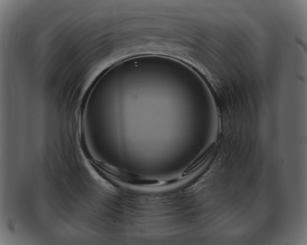 X0000093221515200709261622
