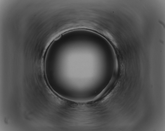 X0000093221516200709261622
